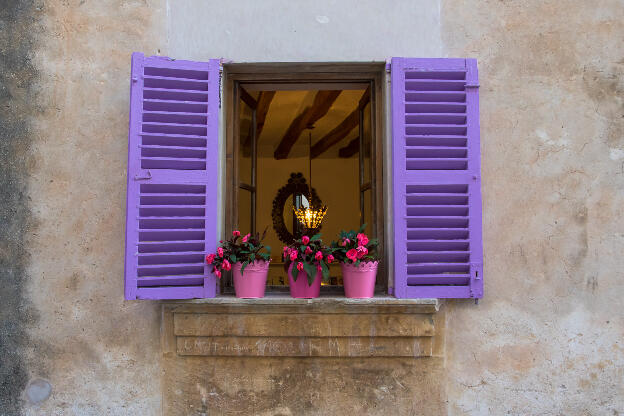 purple window